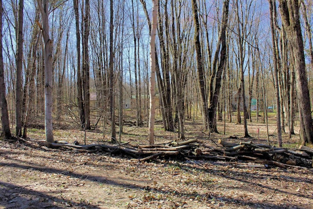 00 NE Chwastek Rd, Kalkaska, MI 49646