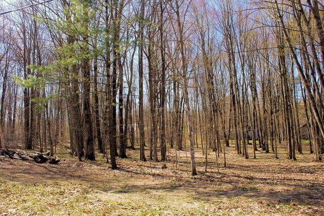 00 NE Chwastek Rd, Kalkaska, MI 49646