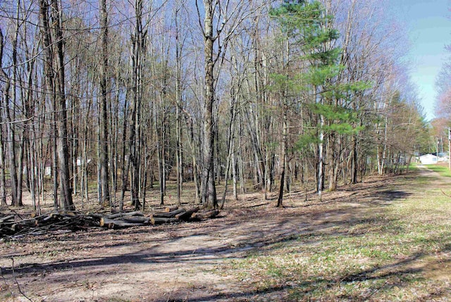 00 NE Chwastek Rd, Kalkaska, MI 49646