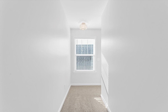 1132 Superior Blvd, Wyandotte, MI 48192 - hall featuring carpet and baseboards