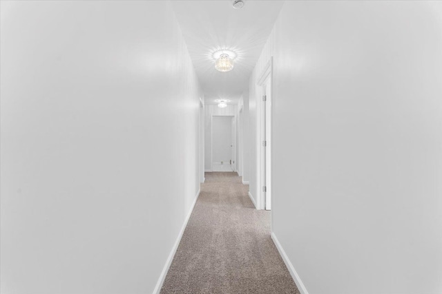 1132 Superior Blvd, Wyandotte, MI 48192 - hall featuring light carpet and baseboards