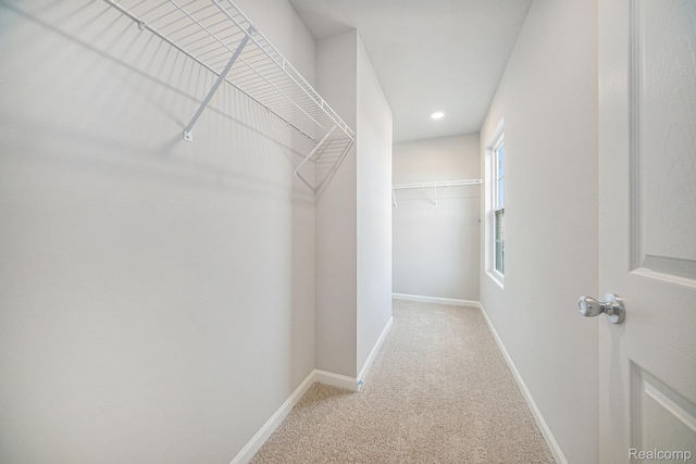 735 Lone Oak Way, Tecumseh, MI 49286 - spacious closet with carpet floors