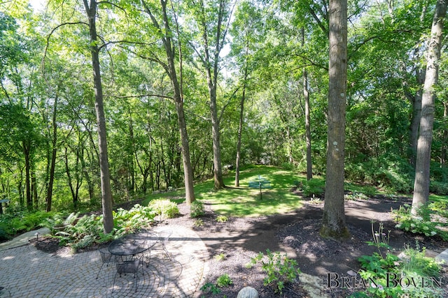 7620 Spring Point Ct NE, Rockford, MI 49341 - view of wooded area