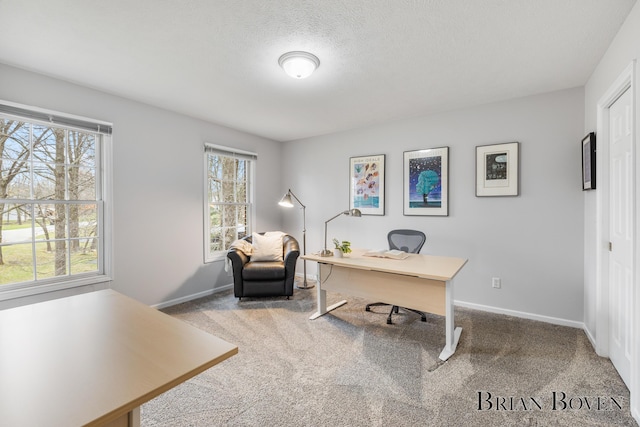 7620 Spring Point Ct NE, Rockford, MI 49341 - office space with carpet flooring and baseboards