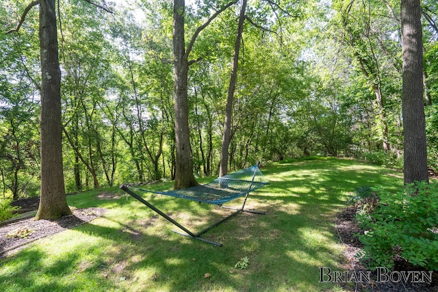 7620 Spring Point Ct NE, Rockford, MI 49341 - view of green lawn
