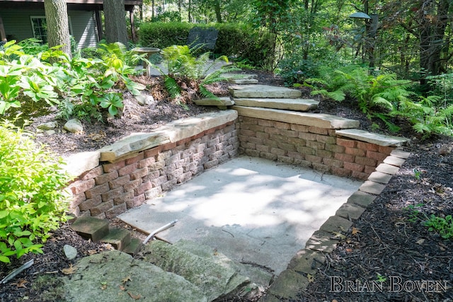 7620 Spring Point Ct NE, Rockford, MI 49341 - entry to storm shelter