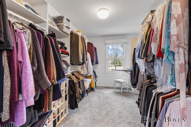 7620 Spring Point Ct NE, Rockford, MI 49341 - spacious closet featuring carpet flooring