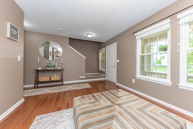 661 Morning Glory Ln, Milan, MI 48160 - foyer entrance featuring wood finished floors and baseboards