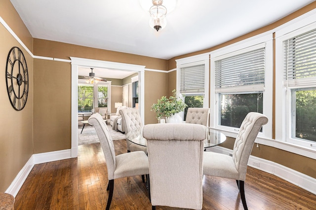 721 W Washington St, Ann Arbor, MI 48103 - dining room featuring dark wood-type flooring, baseboards, and healthy amount of natural light