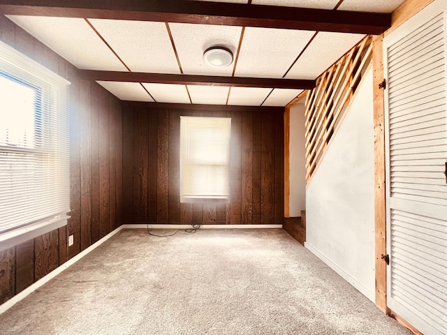12791 Coleen Ave, Warren, MI 48089 - carpeted spare room with wood walls and baseboards