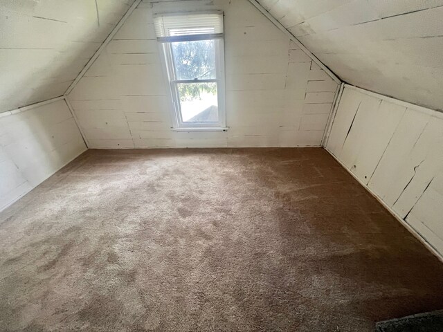 12791 Coleen Ave, Warren, MI 48089 - additional living space with vaulted ceiling and carpet floors