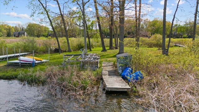 12150 Shaffer Rd, Davisburg, MI 48350 - dock area featuring a water view and view of scattered trees