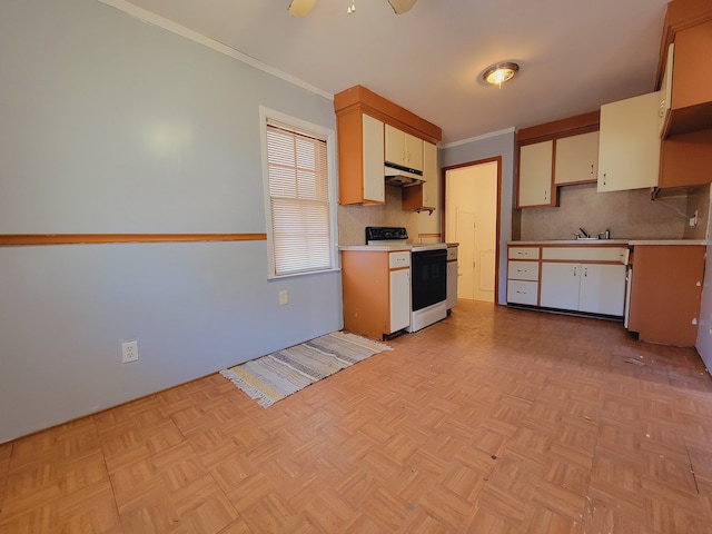 kitchen with electric stove, tasteful backsplash, under cabinet range hood, a sink, and ornamental molding
