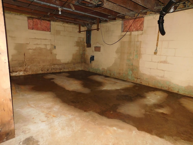 unfinished below grade area with electric panel