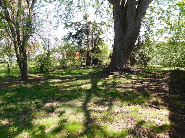 view of nature
