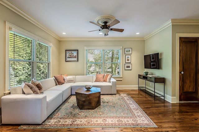 living area featuring healthy amount of natural light, a ceiling fan, dark wood-style flooring, crown molding, and baseboards