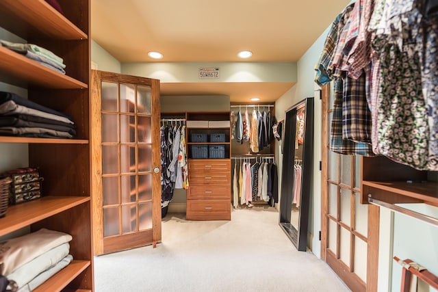 spacious closet featuring carpet flooring