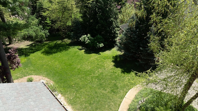 view of grassy yard