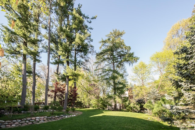 view of grassy yard