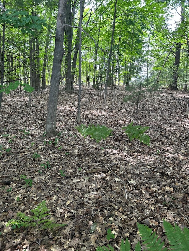 0 Eddie Way, Traverse City, MI 49685