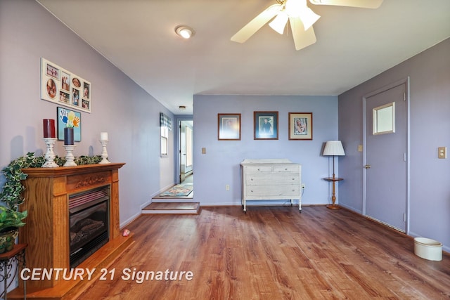 919 E Salzburg Rd, Bay City, MI 48706 - foyer with wood finished floors, a ceiling fan, baseboards, and a glass covered fireplace