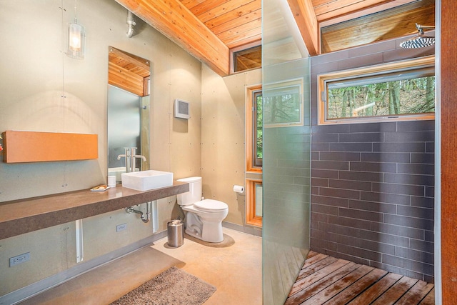 6723 Vandermeulen Rd, Holland, MI 49423 - bathroom featuring wooden ceiling, a sink, toilet, and beam ceiling