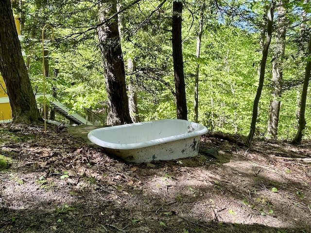6723 Vandermeulen Rd, Holland, MI 49423 - bathroom with a freestanding tub and a view of trees