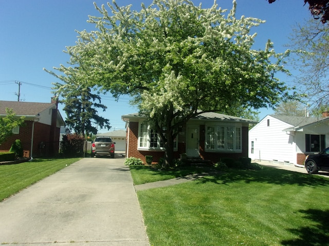 21613 Hoffman St, Saint Clair Shores, MI 48082 - view of front of home featuring a front lawn and brick siding