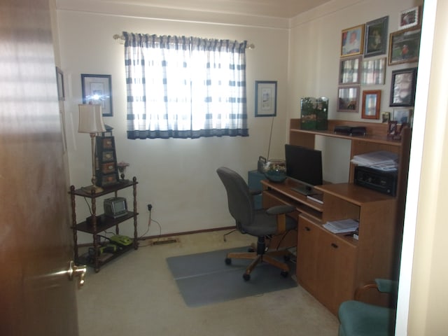 21613 Hoffman St, Saint Clair Shores, MI 48082 - office space with carpet floors