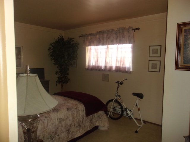 21613 Hoffman St, Saint Clair Shores, MI 48082 - bedroom with carpet flooring
