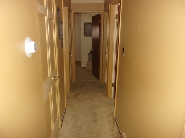 21613 Hoffman St, Saint Clair Shores, MI 48082 - hall with light carpet