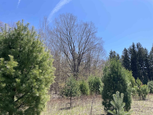 000 E 38th Rd, Cadillac, MI 49601