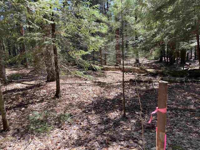 000 E 38th Rd, Cadillac, MI 49601