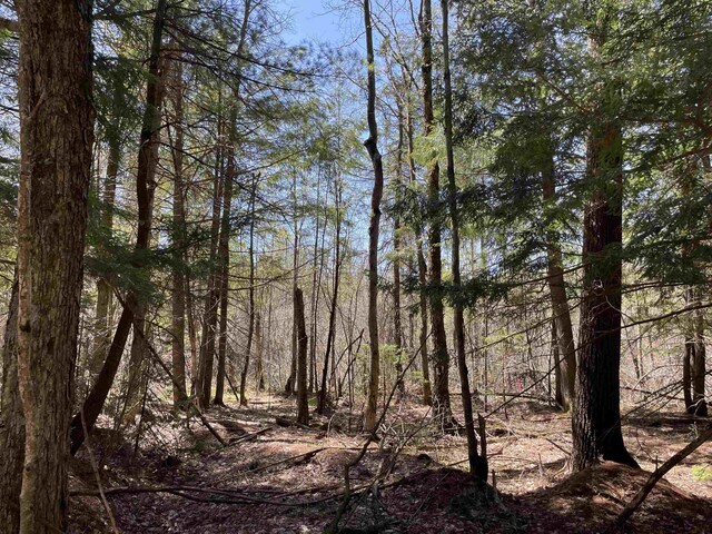 000 E 38th Rd, Cadillac, MI 49601