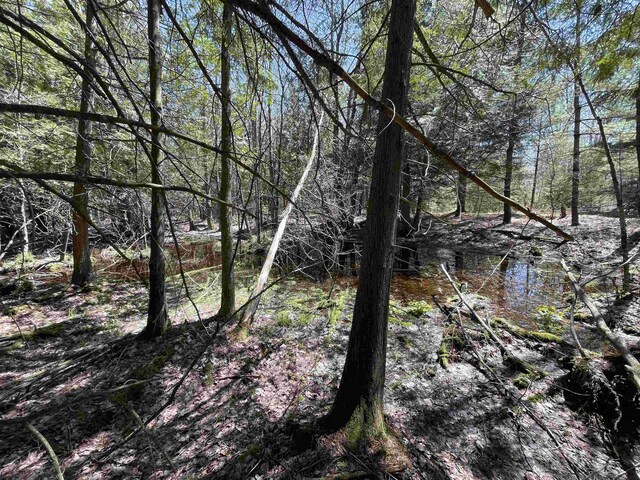 000 E 38th Rd, Cadillac, MI 49601