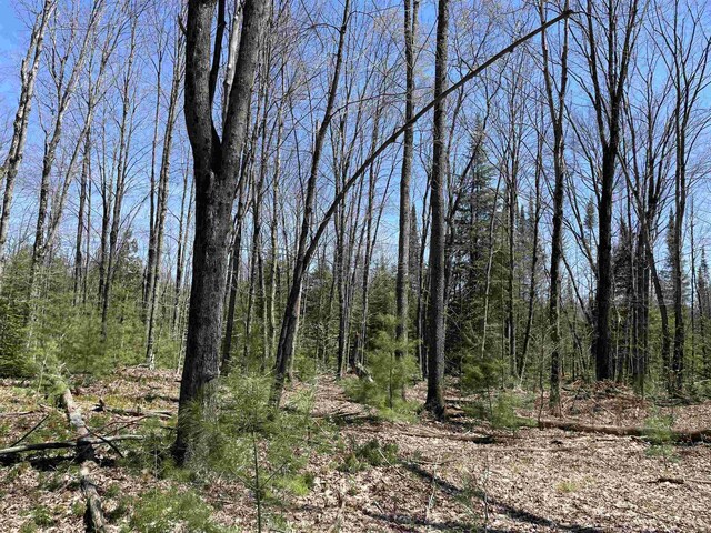 000 E 38th Rd, Cadillac, MI 49601