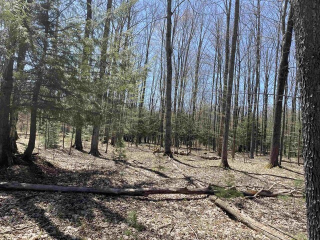 000 E 38th Rd, Cadillac, MI 49601