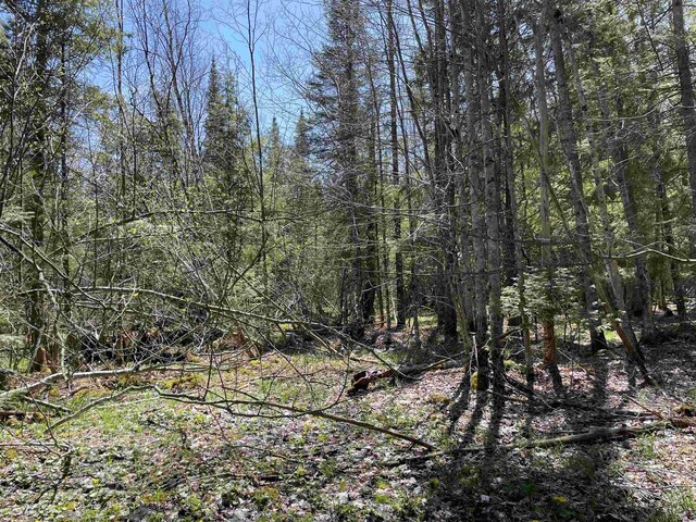 000 E 38th Rd, Cadillac, MI 49601
