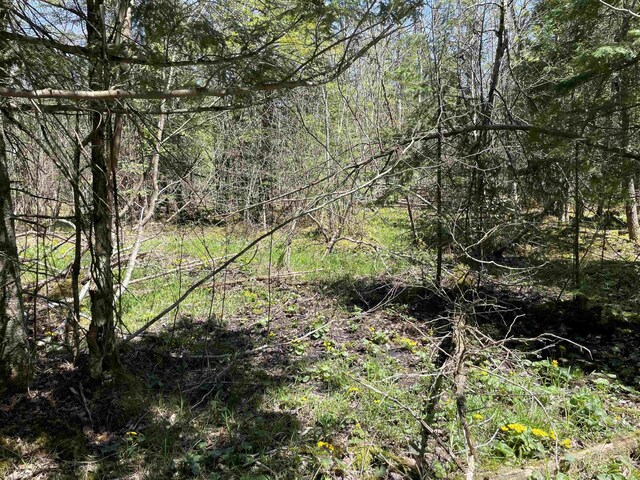 000 E 38th Rd, Cadillac, MI 49601