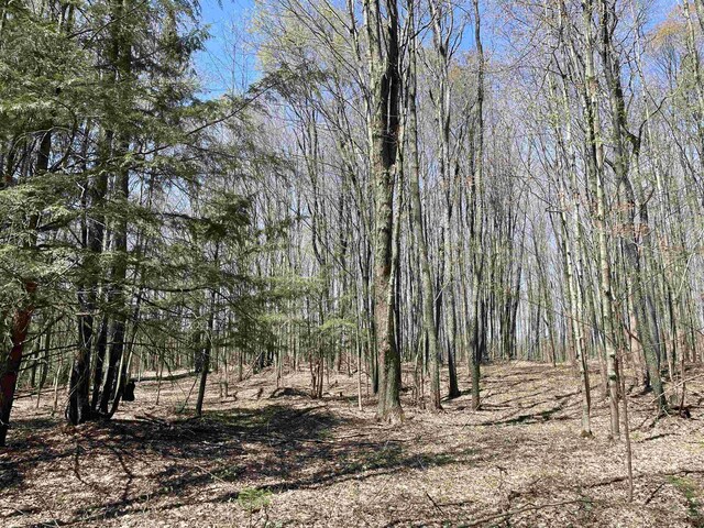 000 E 38th Rd, Cadillac, MI 49601