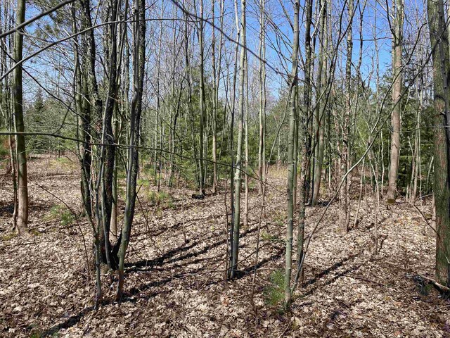 000 E 38th Rd, Cadillac, MI 49601
