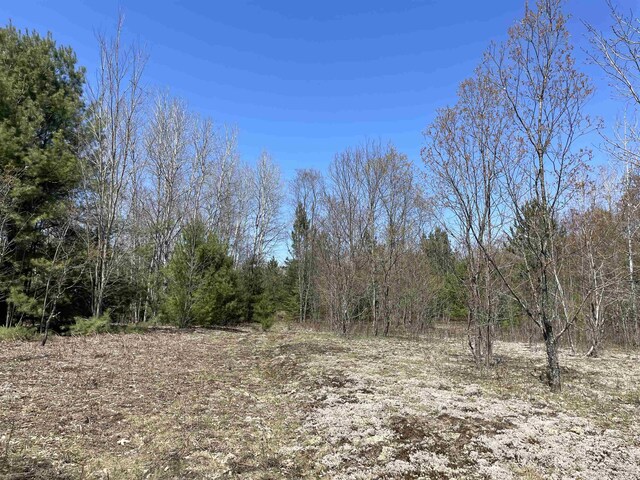 000 E 38th Rd, Cadillac, MI 49601