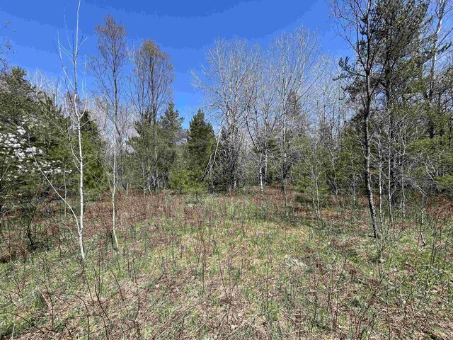 000 E 38th Rd, Cadillac, MI 49601
