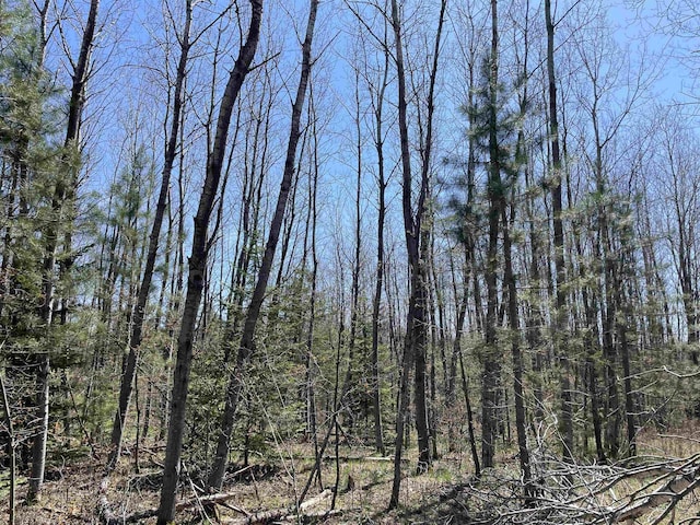 000 E 38th Rd, Cadillac, MI 49601