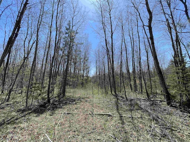 000 E 38th Rd, Cadillac, MI 49601