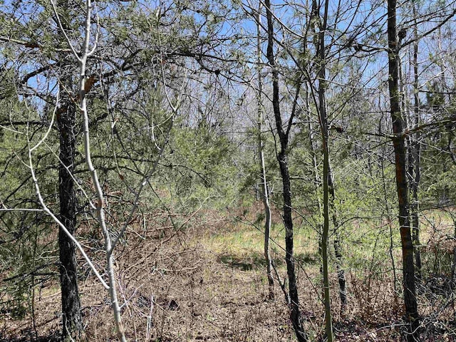 000 E 38th Rd, Cadillac, MI 49601