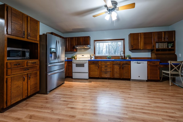 5189 W US Highway 12, Three Oaks, MI 49128 - kitchen with appliances with stainless steel finishes, under cabinet range hood, a sink, and light wood-style flooring
