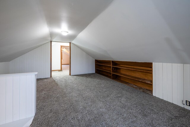 5189 W US Highway 12, Three Oaks, MI 49128 - bonus room with carpet, vaulted ceiling, and wood walls