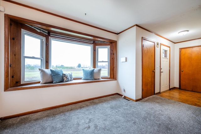 5189 W US Highway 12, Three Oaks, MI 49128 - carpeted empty room featuring plenty of natural light, ornamental molding, and baseboards