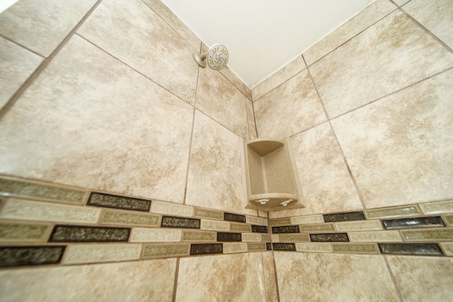 bathroom view of a tile shower
